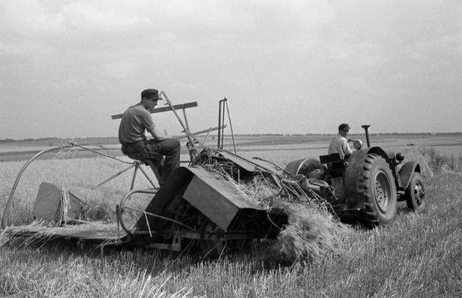 Straw Harvest Erntehelfer, Saisonarbeiter, Landarbeiter auf dem Land Juli 1953. Erwachsene Männer fahren mit einem Traktor und Pflug über das Feld und sammeln Stroh, Strohbuendel auf einem Feld. Seasonal worker for the harvest in July 1953. Men driving with a tractor to picked bale of straw