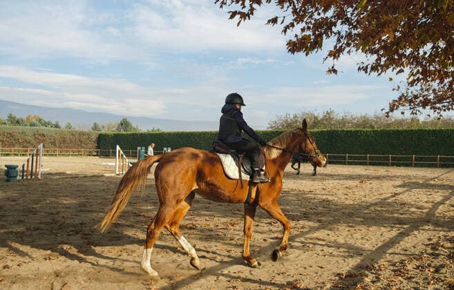 IMAGO Creative: Klub-Sport Young boy riding horse at ranch with barriers. Kavala, Greece CR_IEID211215-874088-01 ,model released, Symbolfoto