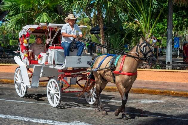Horse drawn carriages on a city street in front of the plaza grande square, Merida, the capital city of the Yucatan, Mexico Latin America Yucatan Mexico Copyright: xSergixReboredox SRE-078-ER2055