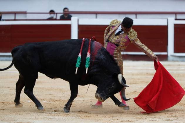 The Mexican bullfighter Alejadro Adame, grapples with the 424-kilo bull Nubarron from the Salento cattle ranch, today during a bullfight, which opens the bullfighting fair that will run from December 26 to 30 in Cali, Colombia 18 December 2021. After a period of forced recess due to the covid-19 pandemic, two large bullfighting fairs in Colombia, those in Cali and Manizales, return with force in the final days of 2021 and the initial days of 2022. Colombia returns to bullfighting in Cali and Manizales after pandemic break !ACHTUNG: NUR REDAKTIONELLE NUTZUNG!  Copyright: xERNESTOxGUZMANxJRx AME5278 20211219-538ac5d99a82c9abaf0118aa0c796edc9efd1cb0