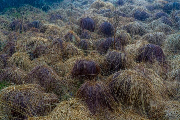 Creative Highlights World Der Naturpark Hohes Venn, im Deutsch-Belgischen Grenzgebiet bei Eupen, Winter, Nebel, Holzbohlenwege südlich der N67, bei Ternell, Eupen, BelgienDer Naturpark Hohes Venn, im Deutsch-Belgischen Grenzgebiet bei Eupen, Winter, Nebel, südlich der N67, bei Ternell, Eupen, Belgien Hohes Venn *** The High Fens Nature Park, in the German-Belgian border area near Eupen, winter, fog, boardwalks south of the N67, near Ternell, Eupen, BelgiumThe High Fens Nature Park, in the German-Belgian border area near Eupen, winter, fog, south of the N67, near Ternell, Eupen, Belgium High Fens