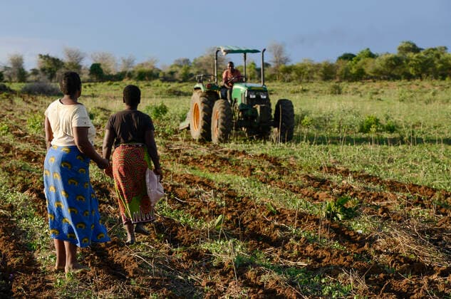 IMAGO Nature: Unsere Erde, Klimawandel, Baumwolle Zambia, conservation farming ZAMBIA, Mazabuka, medium scale farmer Stephen Chinyama , he practise conservation farming, ripping furrows with John Deere Tractor to sow cotton seeds, ripping protects the soil instead of ploughing, women sowing cotton *** SAMBIA, Mazabuka, Chikankata area, medium scale farmer Stephen Chinyama, naturnaher Anbau ohne Pflügen, Aussaat von Baumwolle im Vertragsanbau für LDC Louis Dreyfuss Company Mazabuka Zambia