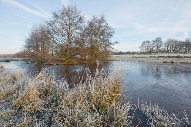  Ems-Flutmulde im Raureif, Emsland, Niedersachsen, Deutschland, Europa *** Ems flood basin in hoar frost, Emsland, Lower Saxony, Germany, Europe Copyright: imageBROKER/ErhardxNerger ibxenh07196095.jpg