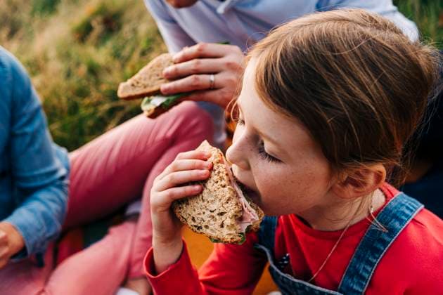 Girl eating sandwich with parents at park model released, ASGF01671