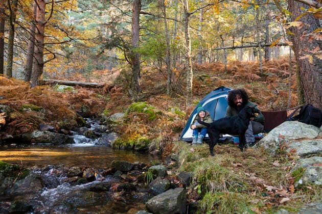 IMAGO Creative, Jahreszeit Herbst, Ferien Woman looking at boyfriend stroking dog in forest model released property released, MRRF01729