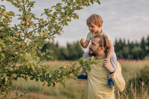 IMAGO Creative: Vaterschaft Family, father and son in field mischief eat apple from tree. Perm, Perm Krai, Russia CR_KSLI2201046E-893307-01 ,model released, Symbolfoto