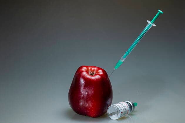Covid motif symbol image vaccination a corona syringe is stuck in a red apple Bannewitz Saxony GERMANY