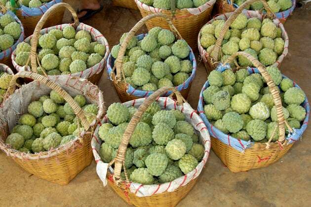 Schuppenannone, Suesssack, Rahmapfel, Zimtapfel (Annona squamosa), zum Verkauf in Koerben, Thailand sweet sop, custard apple (Annona squamosa), for sale in baskets, Thailand BLWS659934 *** Scaled cannon, sweet sop, custard apple Annona squamosa , for sale in baskets, Thailand sweet sop, custard apple Annona squamosa , for sale in baskets, Thailand BLWS659934 Copyright: xblickwinkel McPHOTO I.xSchulzx