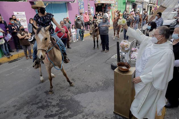 Mexiko, Gläubige lassen ihre Haustiere am Tag des Heiligen Antonius in Coyoacan segnen Animals Blessed In Honour Of St Anthony The Abbot In Mexico A priest blesses a horse outside a church in Coyoacan, Mexico City, in honour of San Antonio Abad, patron saint of animals, during the COVID-19 health emergency and the epidemiological traffic light in the capital. Mexico City Mexico City Mexico  Copyright: xGerardoxVieyrax originalFilename: vieyra-notitle170117_npbAb.jpg
