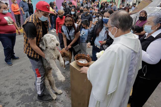 Mexiko, Gläubige lassen ihre Haustiere am Tag des Heiligen Antonius in Coyoacan segnen Animals Blessed In Honour Of St Anthony The Abbot In Mexico A priest blesses a dog outside a church in Coyoacan, Mexico City, in honour of San Antonio Abad, patron saint of animals, during the COVID-19 health emergency and the epidemiological traffic light in the capital. Mexico City Mexico City Mexico  Copyright: xGerardoxVieyrax originalFilename: vieyra-notitle170117_nptUI.jpg