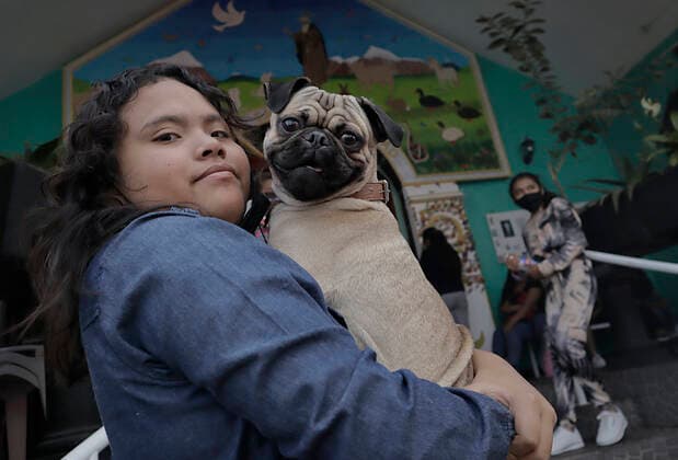 Mexiko, Gläubige lassen ihre Haustiere am Tag des Heiligen Antonius in Coyoacan segnen Animals Blessed In Honour Of St Anthony The Abbot In Mexico A woman carries a dog outside a church in Coyoacan, Mexico City, where several people came to bless their pets in honour of San Antonio Abad, patron saint of animals, during the COVID-19 health emergency and the epidemiological traffic light in the capital. Mexico City Mexico City Mexico  Copyright: xGerardoxVieyrax originalFilename: vieyra-notitle170117_npwuB.jpg