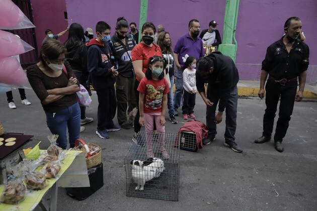 Mexiko, Gläubige lassen ihre Haustiere am Tag des Heiligen Antonius in Coyoacan segnen Animals Blessed In Honour Of St Anthony The Abbot In Mexico Dozens of people went to a temple in Coyoacan, Mexico City, with dogs, cats, birds, horses and other animals to be blessed by a priest in honour of Saint Anthony Abbot, patron saint of animals, during the COVID-19 health emergency and the epidemiological traffic light in the capital. Mexico City Mexico City Mexico  Copyright: xGerardoxVieyrax originalFilename: vieyra-notitle170117_np1y8.jpg