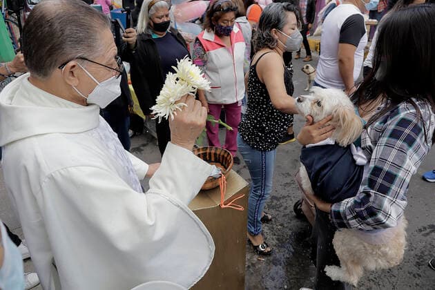 Mexiko, Gläubige lassen ihre Haustiere am Tag des Heiligen Antonius in Coyoacan segnen Animals Blessed In Honour Of St Anthony The Abbot In Mexico A priest blesses a dog outside a church in Coyoacan, Mexico City, in honour of San Antonio Abad, patron saint of animals, during the COVID-19 health emergency and the epidemiological traffic light in the capital. Mexico City Mexico City Mexico  Copyright: xGerardoxVieyrax originalFilename: vieyra-notitle170117_npB7Q.jpg