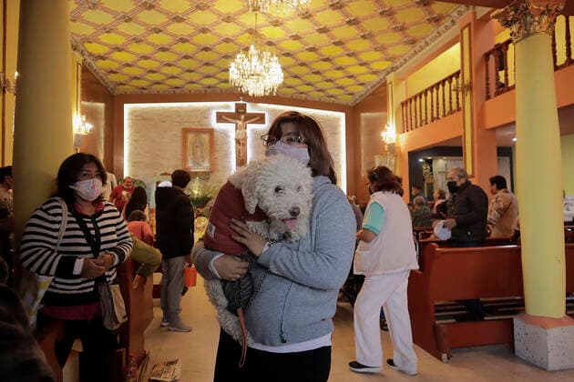 Mexiko, Gläubige lassen ihre Haustiere am Tag des Heiligen Antonius in Coyoacan segnen Animals Blessed In Honour Of St Anthony The Abbot In Mexico A person carries a dog inside a church in Coyoacan, Mexico City, where several people went to bless their pets in honour of San Antonio Abad, patron saint of animals, during the COVID-19 health emergency and the epidemiological traffic light in the capital. Mexico City Mexico City Mexico  Copyright: xGerardoxVieyrax originalFilename: vieyra-notitle170117_npcRS.jpg