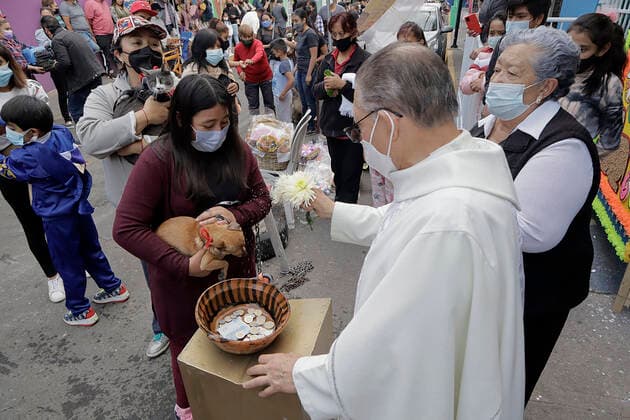 Mexiko, Gläubige lassen ihre Haustiere am Tag des Heiligen Antonius in Coyoacan segnen Animals Blessed In Honour Of St Anthony The Abbot In Mexico A priest blesses a dog outside a church in Coyoacan, Mexico City, in honour of San Antonio Abad, patron saint of animals, during the COVID-19 health emergency and the epidemiological traffic light in the capital. Mexico City Mexico City Mexico  Copyright: xGerardoxVieyrax originalFilename: vieyra-notitle170117_npL4o.jpg
