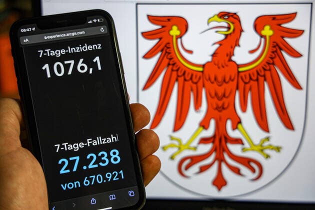 Coronavirus in Germany Covid 19 Dashboard of the Robert Koch Institute DEU, Germany, Brandenburg 23 01 2022 The 7-day incidence for the state Cases last 7 days 100 000 p.e. is displayed on an iPhone, with the state coat of arms in the background.