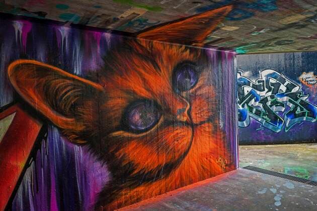  Street-Art, Graffiti in einer Unterführung, Dossenheim, Baden-Württemberg, Deutschland, Europa *** Street art, graffiti in an underpass, Dossenheim, Baden Württemberg, Germany, Europe Copyright: imageBROKER/HarryxLaub iblhal07613334.jpg