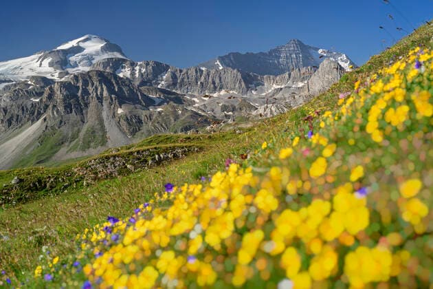 Snow covered Grande Casse rock formations at Vanoise National Park, France, ANSF00197