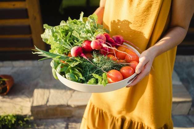 Woman holding fresh vegetables in plate on sunny day model released property released, SEAF00328