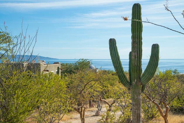 Mexico, Mexican, Baja California, Sur, El Sargento, Ventana Bay, Rancho sur 