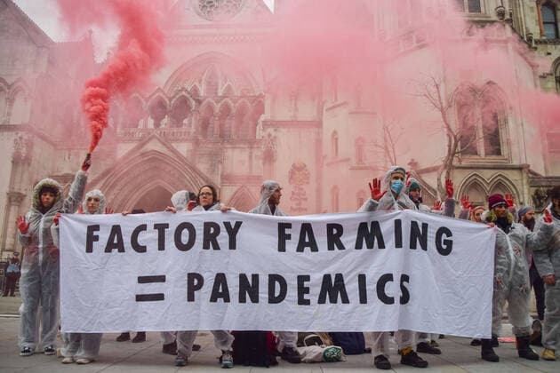 Bilder des Jahres 2022, News 01 Januar News Themen der Woche KW04 News Bilder des Tages January 25, 2022, London, United Kingdom: Activists wearing hazmat suits and with hands covered in fake blood hold a Factory Farming = Pandemic banner and a smoke flare during the protest..Animal rights activists gathered outside the Royal Courts of Justice in protest against factory farming, as the Scrap Factory Farming group launched its legal challenge against the Department for Environment, Food and Rural Affairs (DEFRA) for failing to take adequate precautions against the known pandemic risks of factory farming. London United Kingdom - ZUMAs197 20220125_zaa_s197_021 Copyright: xVukxValcicx