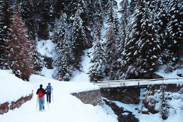 Snowshoeing, Bormio, Sondrio, Lombardy, Italy, Europe GiorgioMesturini CuboImages 1028_14_GME2326