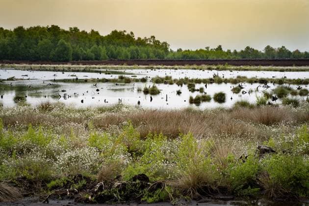 IMAGO Nature: Unsere Erde, Ressourcen, Torf Moore - Wiedervernässung einer ehemaligen Torfabbau-Fläche , Symbolfoto. Abmilderung des Klimawandels durch Wiedervernässung von wirtschaftlich genutzten Moorflächen. Region Weser-Ems Niedersachsen Deutschland