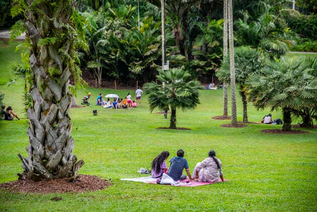 Singapore Botanic Gardens, Singapore, Southeast Asia, Asia Copyright: KatexHockenhull 1341-326