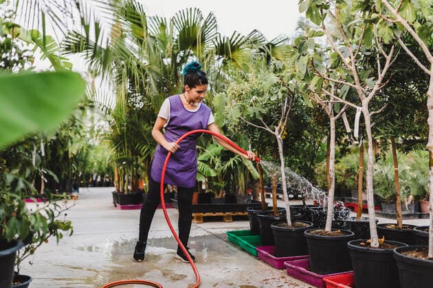 Full length of female owner watering potted plants at nursery Spain, Andalucia, model released, property released Copyright: xMaskotx , MA91528