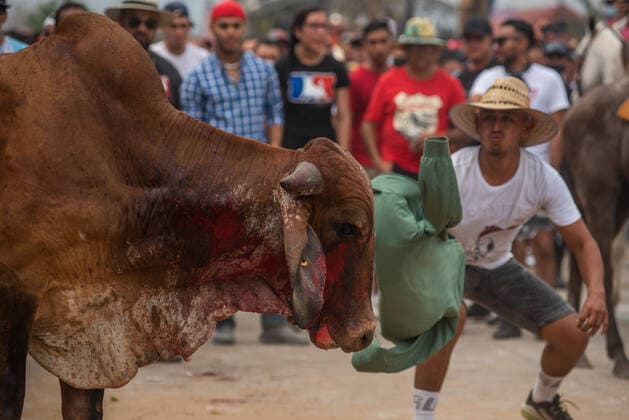 Mexiko, Fest zu Ehren der Virgen de la Candelaria wird mit Stierhatz begangen February 1, 2022: Thousands of residents gather to celebrate Candelaria with the traditional bullfight. In this festivity, the bulls are usually killed and injured despite the warnings of the authorities. This party was not celebrated for a year due to the Covid 19 pandemic. - ZUMAqp1_ 20220201_zip_qp1_004 Copyright: xHectorxAdolfoxQuintanarxPerezx
