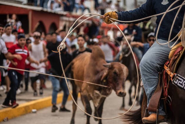 Mexiko, Fest zu Ehren der Virgen de la Candelaria wird mit Stierhatz begangen February 1, 2022: Thousands of residents gather to celebrate Candelaria with the traditional bullfight. In this festivity, the bulls are usually killed and injured despite the warnings of the authorities. This party was not celebrated for a year due to the Covid 19 pandemic. - ZUMAqp1_ 20220201_zip_qp1_009 Copyright: xHectorxAdolfoxQuintanarxPerezx