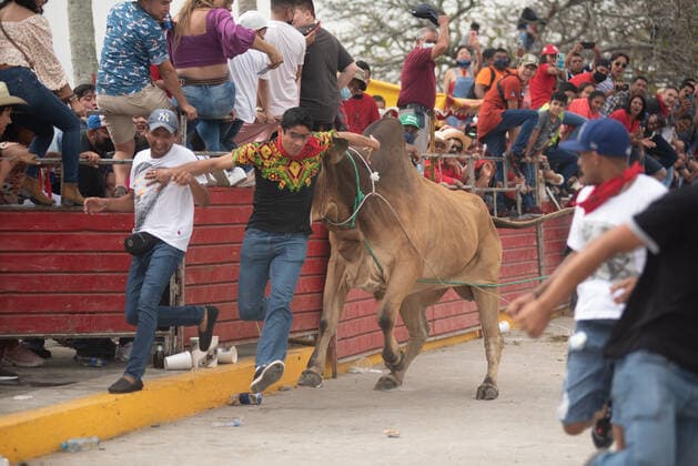Mexiko, Fest zu Ehren der Virgen de la Candelaria wird mit Stierhatz begangen February 1, 2022: Thousands of residents gather to celebrate Candelaria with the traditional bullfight. In this festivity, the bulls are usually killed and injured despite the warnings of the authorities. This party was not celebrated for a year due to the Covid 19 pandemic. - ZUMAqp1_ 20220201_zip_qp1_012 Copyright: xHectorxAdolfoxQuintanarxPerezx