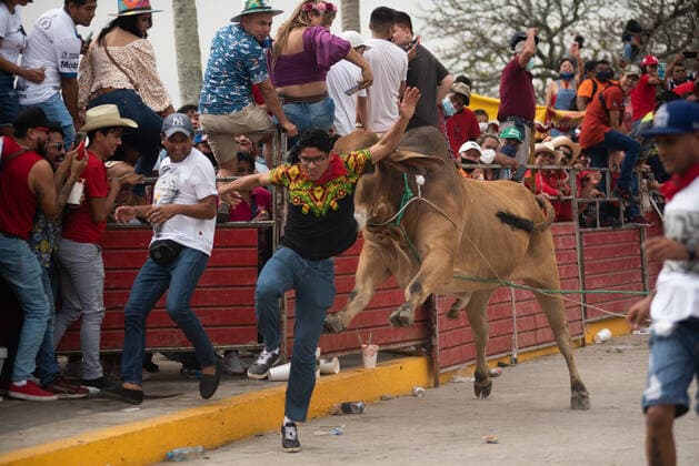 Mexiko, Fest zu Ehren der Virgen de la Candelaria wird mit Stierhatz begangen February 1, 2022: Thousands of residents gather to celebrate Candelaria with the traditional bullfight. In this festivity, the bulls are usually killed and injured despite the warnings of the authorities. This party was not celebrated for a year due to the Covid 19 pandemic. - ZUMAqp1_ 20220201_zip_qp1_013 Copyright: xHectorxAdolfoxQuintanarxPerezx