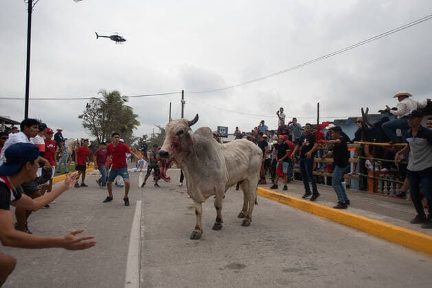 Mexiko, Fest zu Ehren der Virgen de la Candelaria wird mit Stierhatz begangen February 1, 2022: Thousands of residents gather to celebrate Candelaria with the traditional bullfight. In this festivity, the bulls are usually killed and injured despite the warnings of the authorities. This party was not celebrated for a year due to the Covid 19 pandemic. - ZUMAqp1_ 20220201_zip_qp1_021 Copyright: xHectorxAdolfoxQuintanarxPerezx
