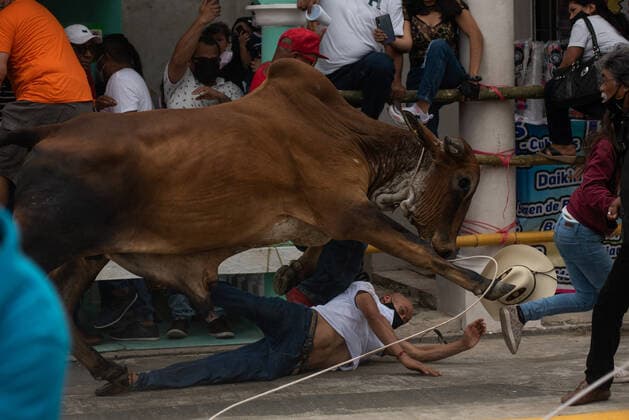Mexiko, Fest zu Ehren der Virgen de la Candelaria wird mit Stierhatz begangen February 1, 2022: Thousands of residents gather to celebrate Candelaria with the traditional bullfight. In this festivity, the bulls are usually killed and injured despite the warnings of the authorities. This party was not celebrated for a year due to the Covid 19 pandemic. - ZUMAqp1_ 20220201_zip_qp1_026 Copyright: xHectorxAdolfoxQuintanarxPerezx