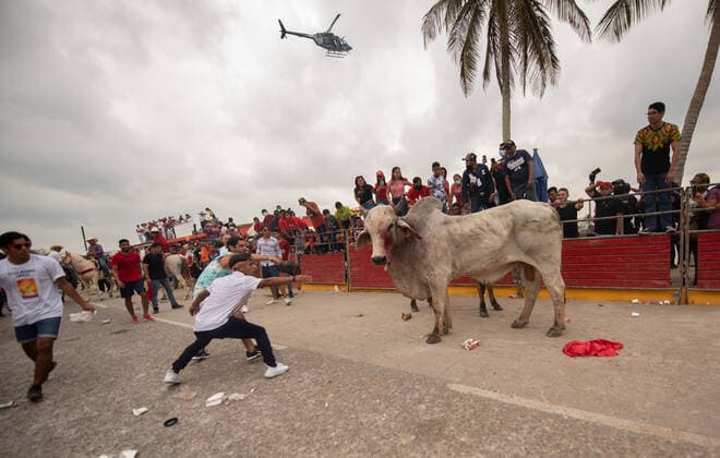 Mexiko, Fest zu Ehren der Virgen de la Candelaria wird mit Stierhatz begangen February 1, 2022: Thousands of residents gather to celebrate Candelaria with the traditional bullfight. In this festivity, the bulls are usually killed and injured despite the warnings of the authorities. This party was not celebrated for a year due to the Covid 19 pandemic. - ZUMAqp1_ 20220201_zip_qp1_028 Copyright: xHectorxAdolfoxQuintanarxPerezx