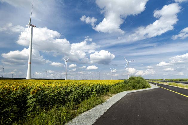 Ein Windpark inmitten eines Sonnenblumenfeldes neben einer Strasse in Brandenburg bei Luckau, 27.07.2021. Luckau Deutschland *** A wind farm in the middle of a sunflower field next to a road in Brandenburg near Luckau, 27 07 2021 Luckau Germany Copyright: xJaninexSchmitz photothek.dex