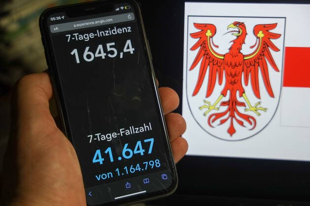 Coronavirus in Deutschland - Covid-19-Dashboard des Robert Koch-Institut DEU, Deutschland, Brandenburg 06.02.2022: Die 7-Tage-Inzidenz für das Bundesland (Fälle letzte 7 Tage 100.000 EW) wird auf einem iPhone angezeigt, im Hintergrund das Landeswappen