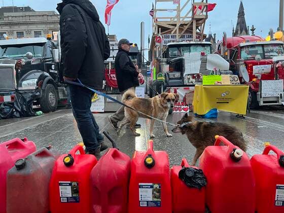 (220211) -- OTTAWA, Feb. 11, 2022 -- Two men walk dogs in front of trucks while crossing Wellington Street in Ottawa, Canada, Feb. 10, 2022. The Ottawa Police Service said Thursday that police have arrested 25 people and issued 1,775 tickets to put an end to the unlawful demonstrations in the downtown areas. The Freedom Convoy 2022 protest began on Jan. 29 as a rally of truckers against the requirement that Canadian truck drivers crossing the border into the United States be fully vaccinated as of mid-January. ) CANADA-OTTAWA-TRUCKER-PROTEST LinxWei 