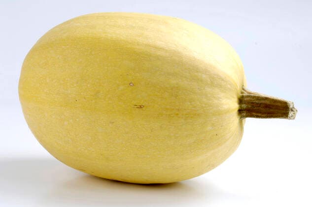 Gartenkuerbis, Garten-Kuerbis, Sommerkuerbis, Sommer-Kuerbis, Speisekuerbis, Speise-Kuerbis, Spagetti (Cucurbita pepo Spagetti , Cucurbita pepo Spagetti), Speisekuerbis der Sorte Spagetti marrow, field pumpkin (Cucurbita pepo Spagetti , Cucurbita pepo Spagetti), spaghetti squash BLWS662391 *** Garden pumpkin, garden pumpkin, summer pumpkin, summer pumpkin, edible pumpkin, edible pumpkin, spagetti Cucurbita pepo Spagetti , Cucurbita pepo Spagetti , Spagetti marrow variety edible pumpkin, field pumpkin Cucurbita pepo Spagetti , Cucurbita pepo Spagetti , spaghetti squash BLWS662391 Copyright: xblickwinkel McPHOTO O.xDiezx