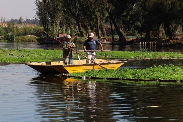 ˜Ajoloton™ Ecologist Project to Preserve the Axolotl Species MEXICO CITY, MEXICO - FEB 16, 2022: Workers carry out canal cleaning works for the Axolotl release to preservation of the specie and its habitat On Febrery 16, 2022 In Mexico City, Mexico. (Photo by Luis Barron Eyepix Group) Copyright: xLuisxBarronx xEyepixxGroupx EYEPIX_LBE_16022022_55979