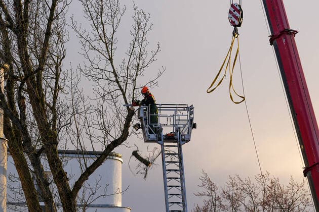 17.02.2022,Berlin,Deutschland,GER,Feuerwehreinsatz am Martin-Luther-Krankenhaus im Bezirk Wilmersdorf Ortsteil Schmargendorf.Sturmtief Ylenia hat dafür gesorgt, das ein Baum gegen das Gebäude fiel.