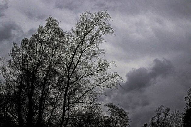 Orkantief Zeynep in Deutschland Die Ankuft des Orkantiefs ZEYNEP mit dunkelgrauem Gewölk und harten, kurzen Böen. Essen Nordrhein-Westfalen Deutschland *** Hurricane Zeynep in Germany The arrival of the hurricane ZEYNEP with dark gray clouds and hard, short gusts Essen North Rhine Westphalia Germany