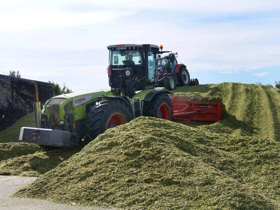 Mais verdichten fuer eine Biogasanlade mit einem Trecker auf einem Bauernhof Gehaeckselter Mais wird fuer Biogasanlage verdichtet *** Compacting corn for a biogas plant with a tractor on a farm Compressed corn for a biogas plant