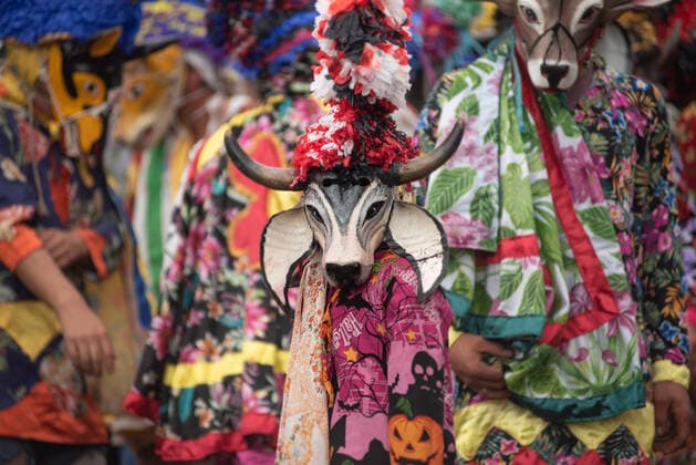 February 28, 2022: Residents of the town of Alto Tio Diego celebrate the traditional Afro-Mexican carnival. In this carnival, the residents usually wear wooden masks in the form of animals such as cows, bulls, horses and other costumes. This is a tradition that has been celebrated since the colonial era of Mexico - ZUMAqp1_ 20220228_zip_qp1_006 Copyright: xHectorxAdolfoxQuintanarxPerezx