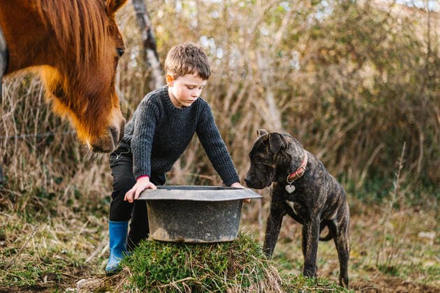 IMAGO Creative, Kinder auf dem Reiterhof Cute boy with black dirty washbowl of food standing near horse and American Pit Bull Terrier dog in countryside with dried plants, Model released HodeiUnzueta_WinterHorses_34.jpg Copyright: xHodeixUnzuetax MR