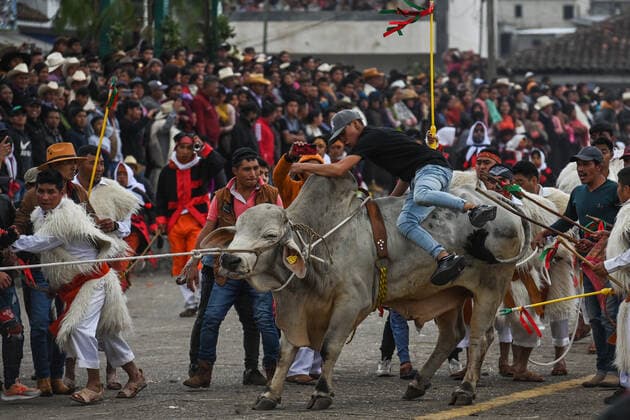 San Juan Chamula Carnival Ends With Running Of The Bulls A scene of bull running through the streets of San Juan Chamula on the last day of the annual carnival also known as K in Tajimoltic. On Tuesday, February 1, 2022, in San Juan Chamula, Chiapas, Mexico. San Juan Chamula Mexico  Copyright: xArturxWidakx originalFilename: widak-sanjuanc220301_npzHv.jpg