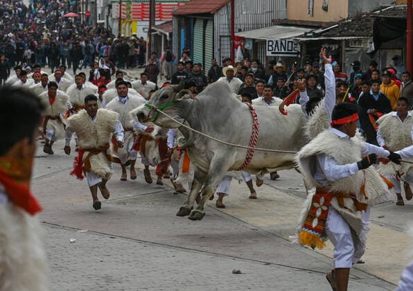 San Juan Chamula Carnival Ends With Running Of The Bulls A scene of bull running through the streets of San Juan Chamula on the last day of the annual carnival also known as K in Tajimoltic. On Tuesday, February 1, 2022, in San Juan Chamula, Chiapas, Mexico. San Juan Chamula Mexico  Copyright: xArturxWidakx originalFilename: widak-sanjuanc220301_npkb7.jpg