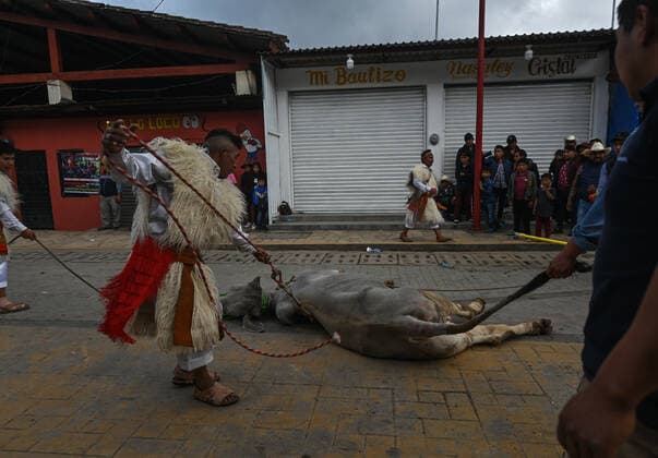 San Juan Chamula Carnival Ends With Running Of The Bulls A scene of bull running through the streets of San Juan Chamula on the last day of the annual carnival also known as K in Tajimoltic. On Tuesday, February 1, 2022, in San Juan Chamula, Chiapas, Mexico. San Juan Chamula Mexico  Copyright: xArturxWidakx originalFilename: widak-sanjuanc220301_npI4t.jpg
