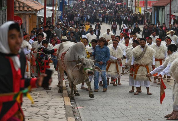 San Juan Chamula Carnival Ends With Running Of The Bulls A scene of bull running through the streets of San Juan Chamula on the last day of the annual carnival also known as K in Tajimoltic. On Tuesday, February 1, 2022, in San Juan Chamula, Chiapas, Mexico. San Juan Chamula Mexico  Copyright: xArturxWidakx originalFilename: widak-sanjuanc220301_nplTm.jpg